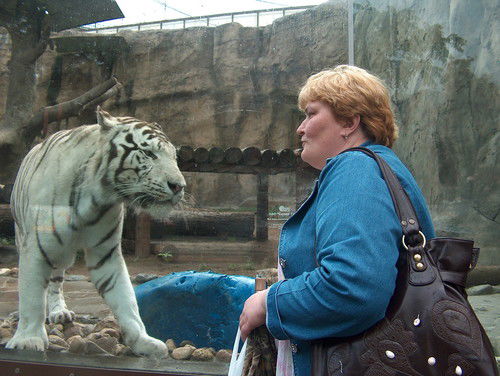 Светлана Лагутина