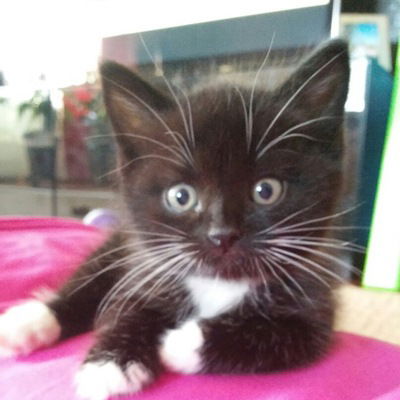 София Бунеева