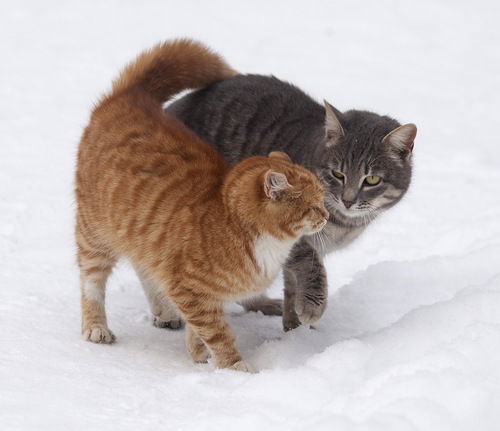 Сергей Перепечко