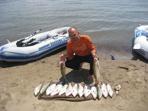 Александр Петухов