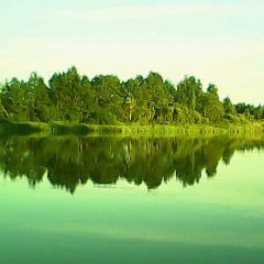 Виктория Суханова