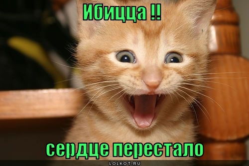 Сергей Греков