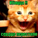 Сергей Греков