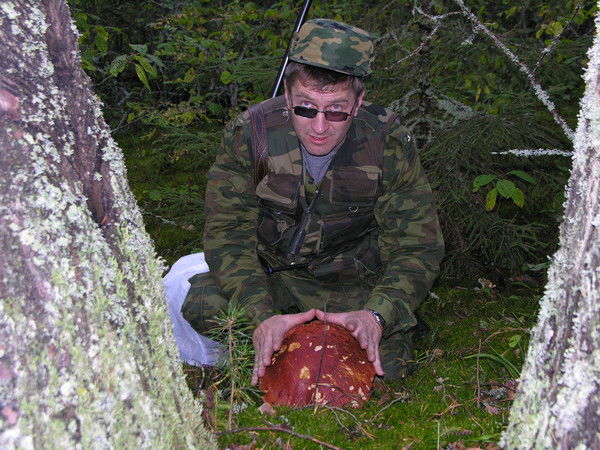 Владимир Хватов