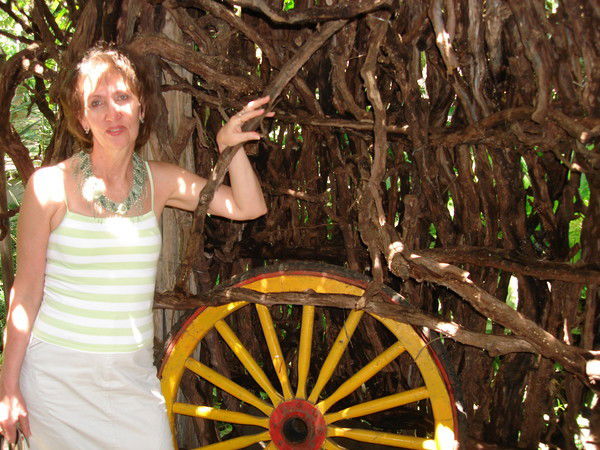 Татьяна Торбина