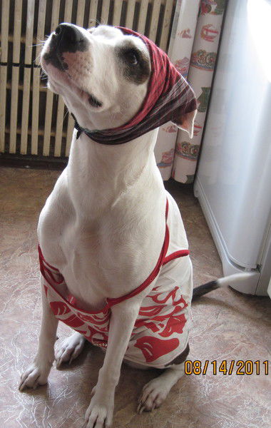 Женя Шевченко