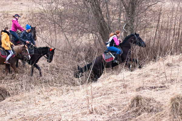 Маргарита Чекмарева