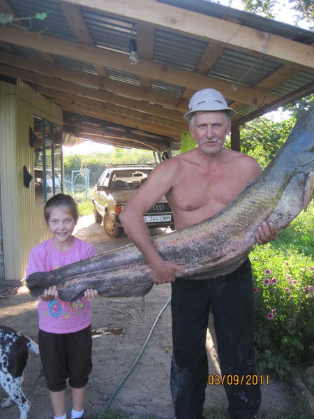 Александр Парфёнов