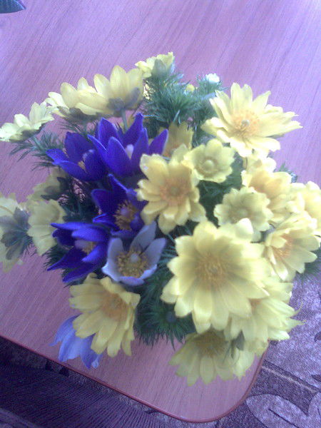 Зинфира Шафигулина