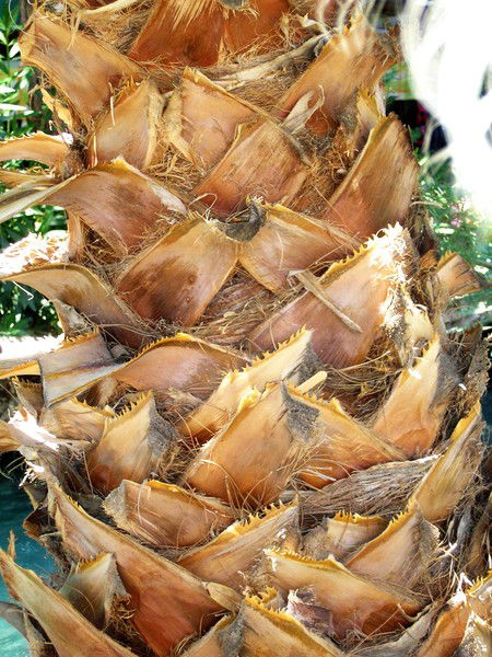 Юрий Правиков