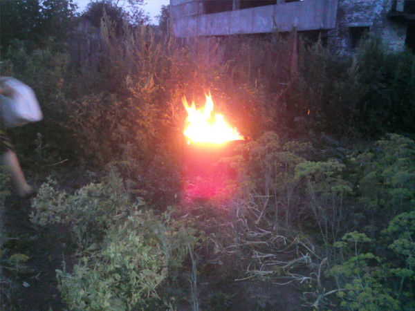 Елена Воронова