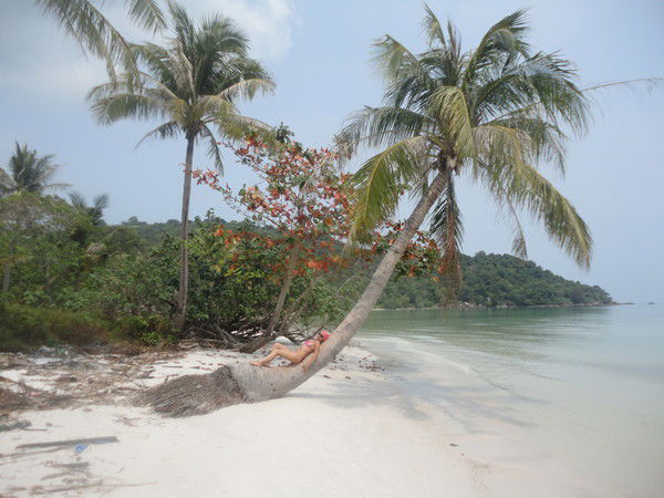 Елена Полежаева