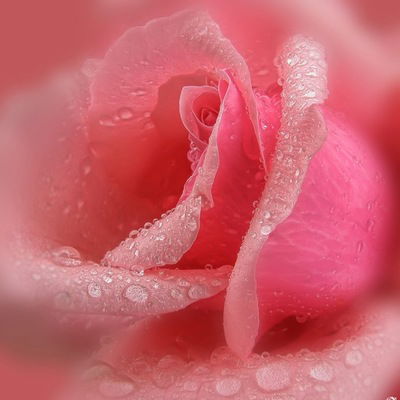 Наталья Штанько