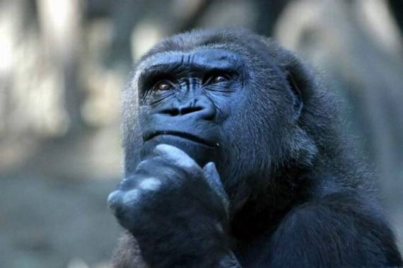 Александр Филиппов