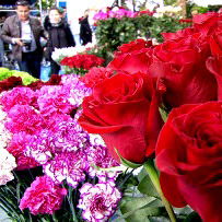 Зауре Кыдырша