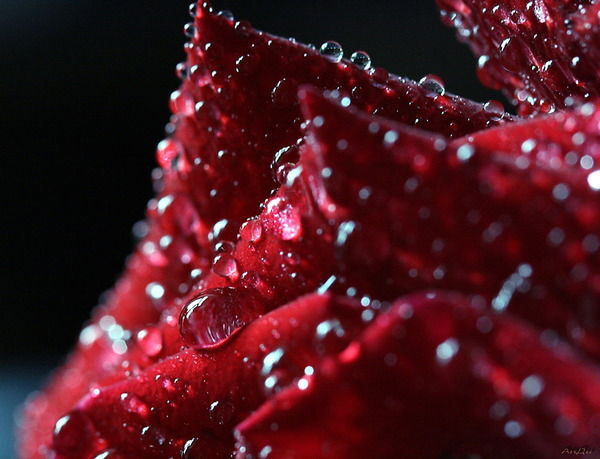 Гульнур Сериева