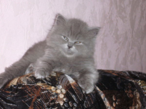 Тамара Рудакова