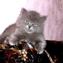Тамара Рудакова