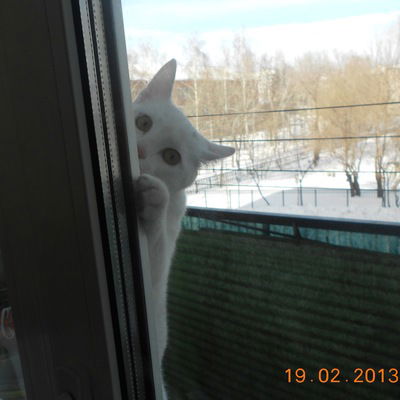 Надежда Грекова