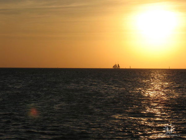 Наталья Драч