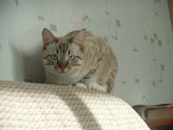 Натусик *********