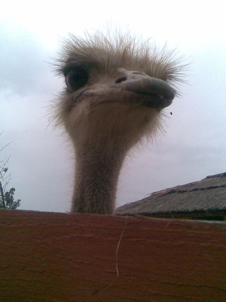 Mарина Рожкова(Орешник)