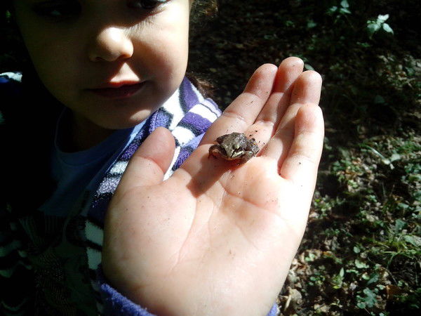 Дмитрий Войкин