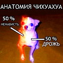 Сергей Евдокимов