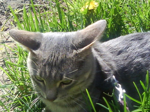 Людмила Баркова