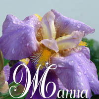 Жанна Егорычева