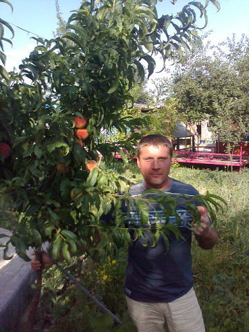 Александр Лыжин