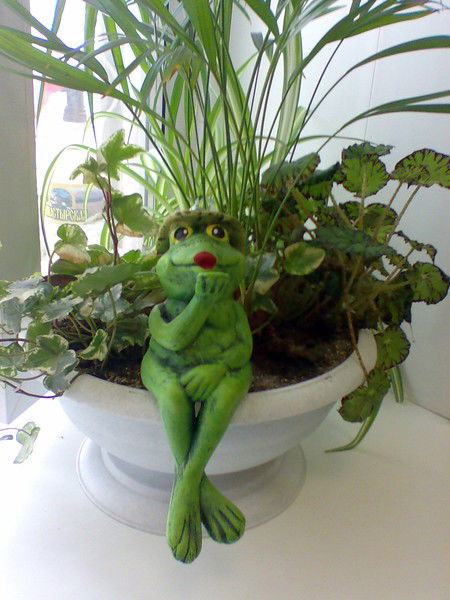 Ольга Аникина