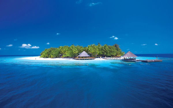 Эльвира Фаррахова