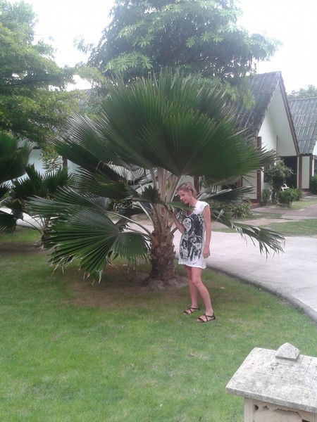 Анжелика Котова