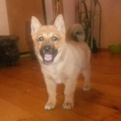 Олег Мужановский