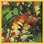 Валерий Попов