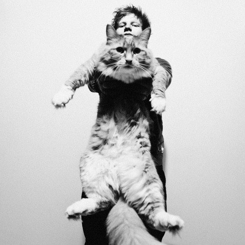 Александра Пантелеева