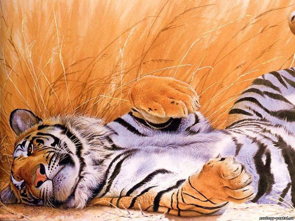 Айна Архангельская