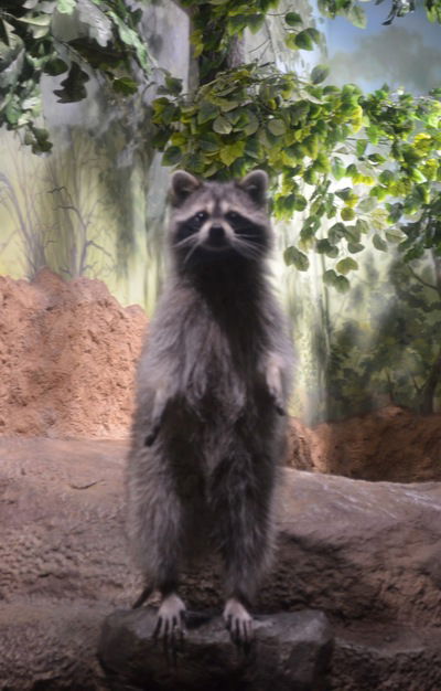 Андрей Павлов