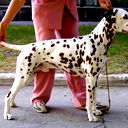 Лена Орлова
