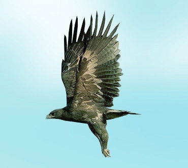 Нурбек Молдазимов