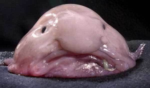 Экономика Итиг 3 Курс