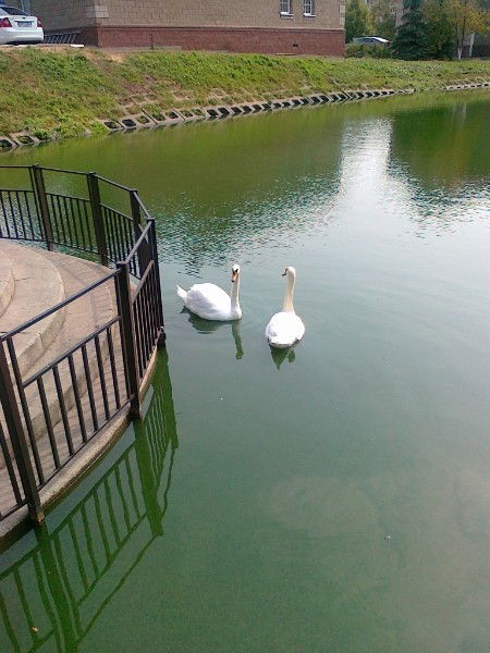 Гузель Мухамедуллина