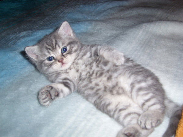 Ирина Гладкина