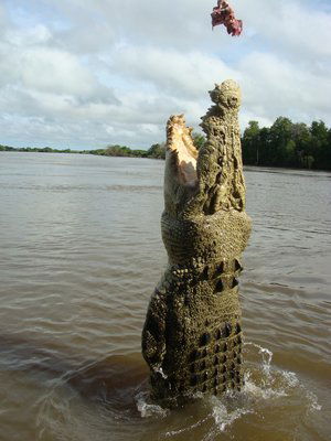 Геннадий Выборнов