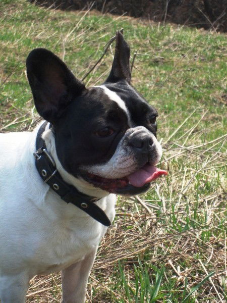 Светлана Крюкова