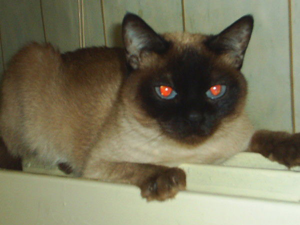 Анна Иванова