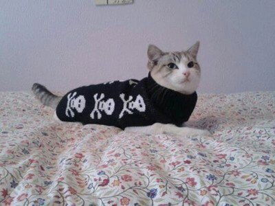 Анастасия Редькина