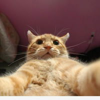 Вероника Мищанчук