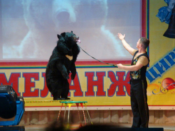 Алексей Медков